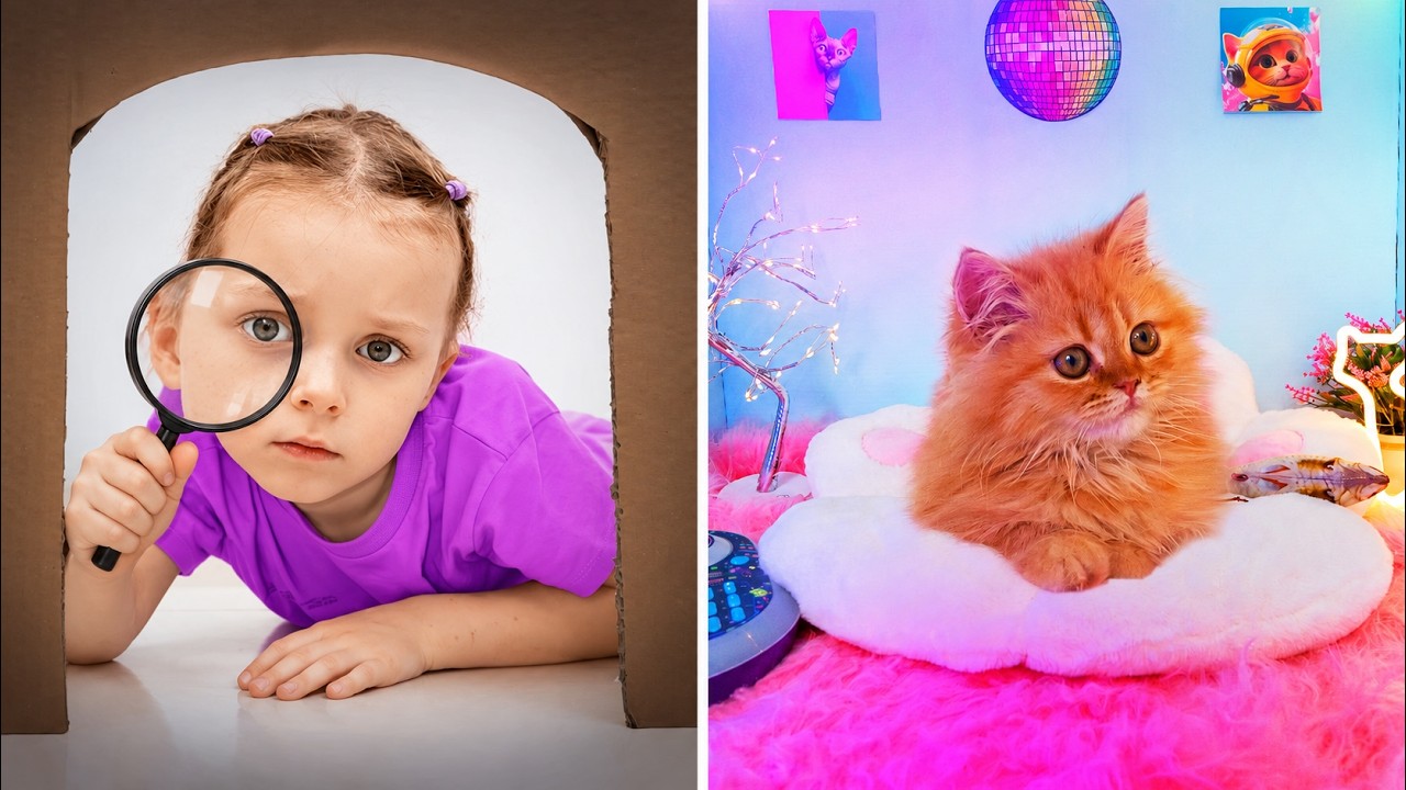 Where Is Eva’s Kitty? Dasha Looks Everywhere!