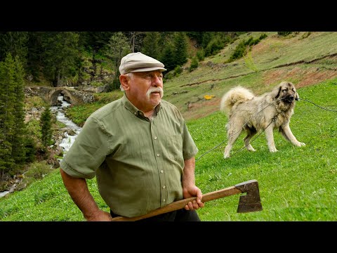 Küçük Ağa's Plateau Migration | Documentary movie