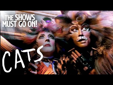The Curious Cat (The Rum Tum Tugger) from CATS | Cats The Musical | The Shows Must Go On!