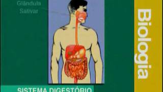 A 03 - Sistema Digestivo - Biologia - Vestibulando Digital