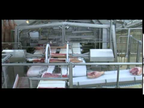 ATTEC Danmark A/S - Automatic cutting of pork