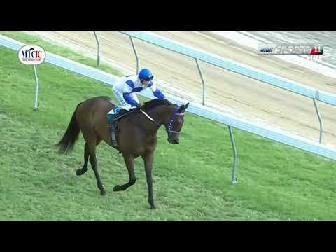 Hippisme : Suivez en direct la 6ème course de la 4ème journée de course au Champ de Mars.