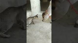 Download lagu 9 March 2022 mp3 Download lagu 9 March 2022 mp3