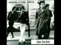 Adam And The Ants Prince Charming