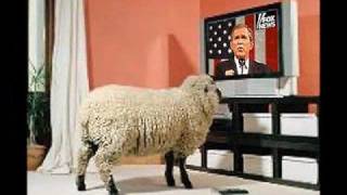 Hey Ho, So it Goes...