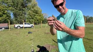 Download the video "Property/Orchard Update Fall 2025"