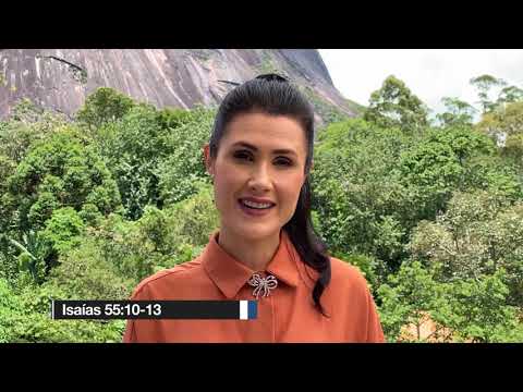 1363 Sobre a Rocha | Solo Fértil | Melissa Barcelos