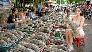 Giant Mantis Shrimp & Fresh Seafood 🇰🇭 Ultimate Cambodian Market Walki