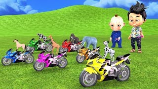 Animals Bike Race - Wild Animals Toys - Online Shopping Motorbike Toys For Kids - Animation Cartoons
