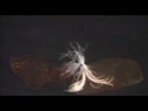 Inventions That Shook The World Part 1 - Discovery