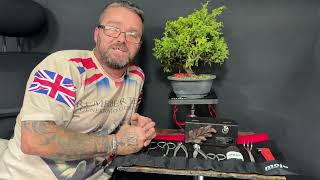 Bonsai New talent - Thank you and Beechfield Bonsai