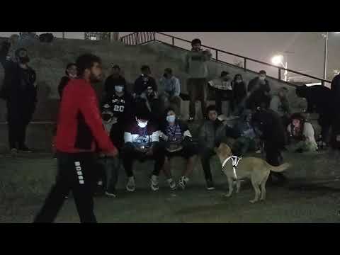 Metanafora VS Flint / 4TOS / ZOTT BATTLES / Fecha 8