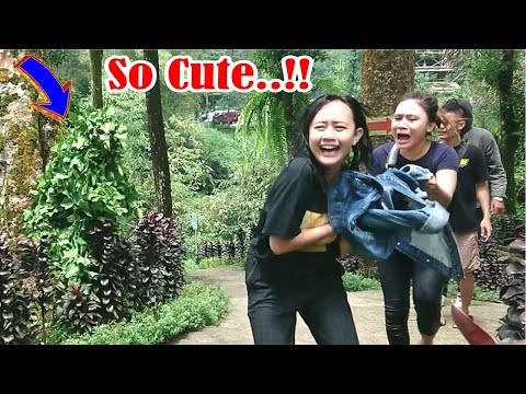 cute-and-funny-expression-bushman-prank-funny