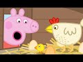 Granny Pig S Chickens And Talent Day PeppaPigOfficial