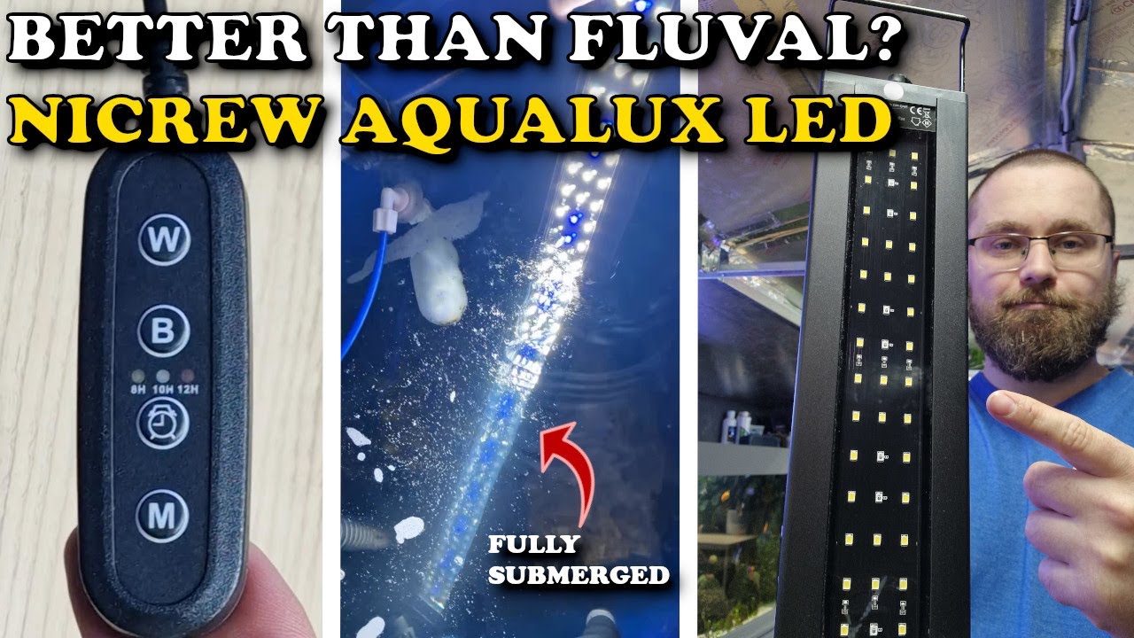 NICREW AQUALUX Aquarium LED | Full REVIEW | Tested vs FLUVAL Aquasky | Test vs WATER | Plant & Coral