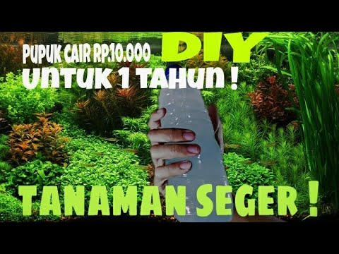 DIY pupuk cair aquascape + hasil akhir