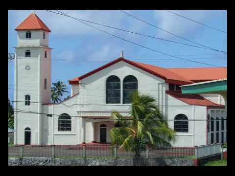 Metotisi Pavaiai - La'au Kerisimasi