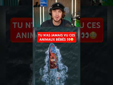 TU N’AS JAMAIS VU CES ANIMAUX BÉBÉS 👀😳
