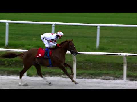 211010 c02 INDOMABLE