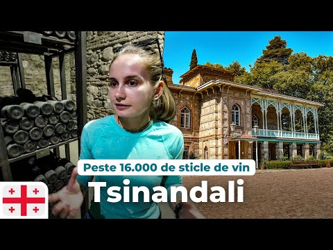 25. Muzeul cu 16000 de STICLE DE VIN | A Museum with 16,000 Bottles of Wine - TSINANDALI, Kakheti 🇬🇪