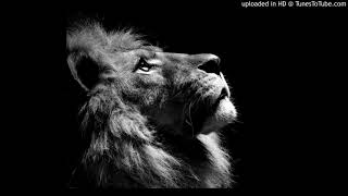 Project Pat- You Like_Screwed