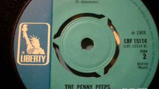 PENNY PEEPS - Curly, the knight of the road