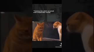 Download lagu story wa kucing sad #kucing #shorts mp3 Download lagu story wa kucing sad #kucing #shorts mp3