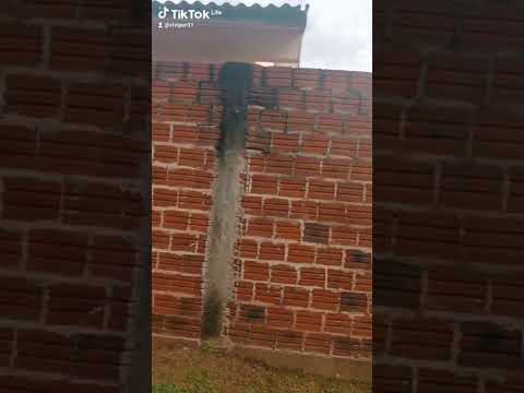 terra boa Paraná brilhando