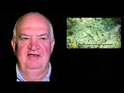 EN - Stage Analysis - Stage 13 (Tours - Saint-Amand-Montrond)