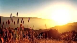 Coldplay - In The Sun