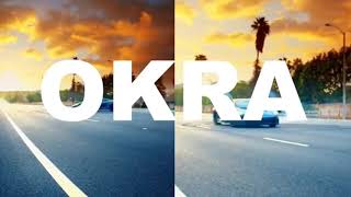 Tyler the creator-Okra (concert version/alternate intro)