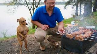 Miniature vidéo