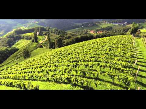 Terroir erleben - Weingut Schneeberger, Südsteiermark