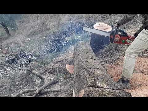 Secho 6100 motorlu testere chaın saw