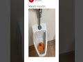 Unbelievable! I Heard an Angel at the Urinal!