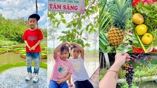 Trải nghiệm Vườn Sinh Thái ở Đồng Tháp chỉ 50k ăn trái cây thoải mái #travel #mientay #farm