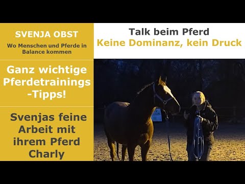 Talk beim Pferd mit Svenja Obst: Arbeit mit dem eigenem Pferd Charly