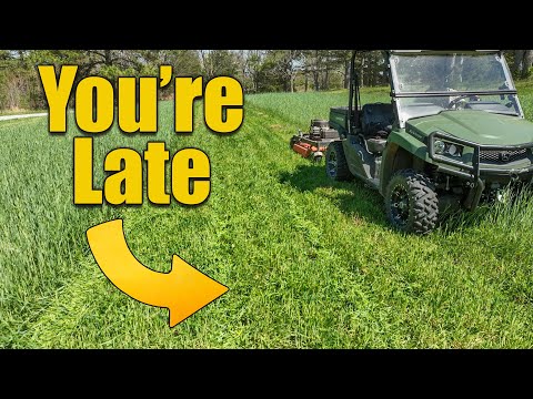 Are You Ready for Spring Lawn Care