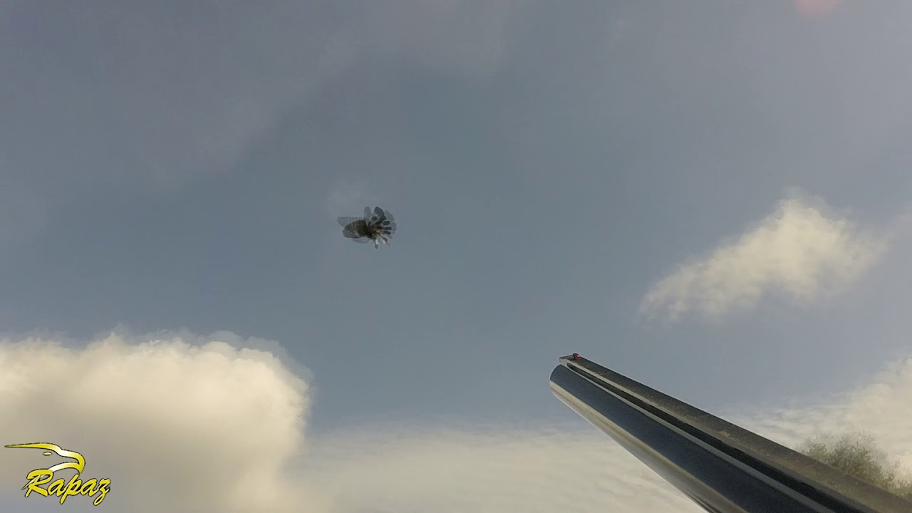 CAZANDO CON CARTUCHOS RAPAZ