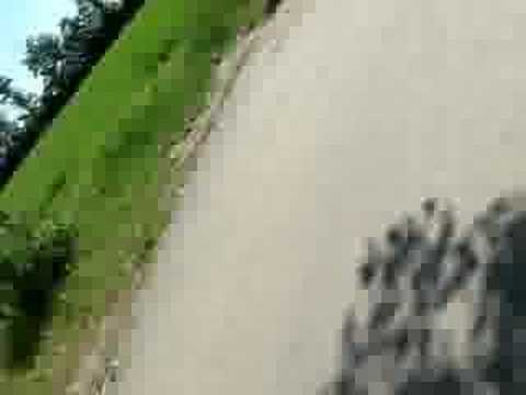 Nebunii din barcanesti partea 2