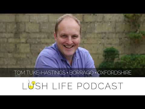How to Test More and Debate Less with Tom Tuke-Hastings ...