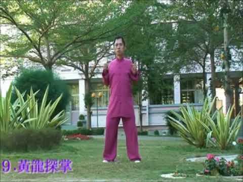 Qigong (Chi Kung) Shibashi Version 2