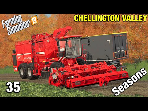 LOTS OF MONEY IN SUGAR BEET! Chellington Valley Timelapse - FS19 Ep 35