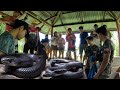 LUNGA NG MGA ITIM NA COBRA TIMBOG ANG DAMI NAKUHA Cobraprince Cobraking Cobrateam Tolcobra