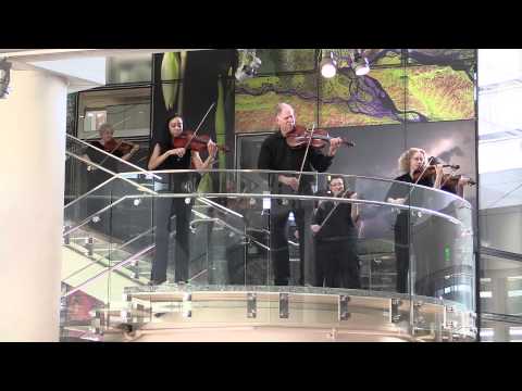 Raleigh Symphony Orchestra - Flash Mob