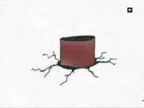 Szczepan i Irenka Śmieci