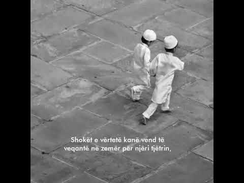 Kush është Shoku i vërtetë ??