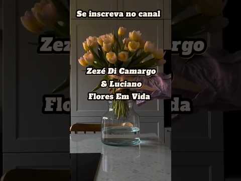 Amour Salvage Zeze Di Camargo E Luciano - Baladas Brasileras
