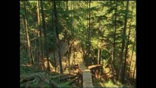 Out of Line   Buckcherry NWD