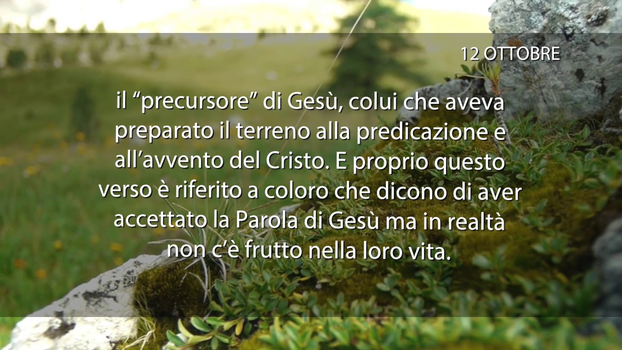 Meditazione del 12 Ottobre 2018 “QUAL È IL BUON FRUTTO?”